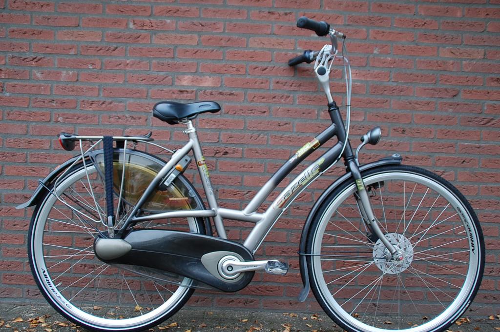 Oom of meneer Dodelijk hardware Damesfiets SkyDive Gazelle – Grab Your Bike