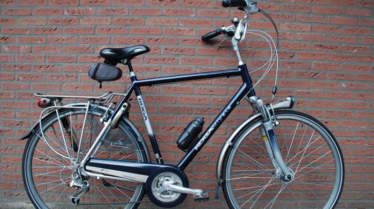 Mompelen Beheren Concurreren Herenfiets Balance Koga – Grab Your Bike