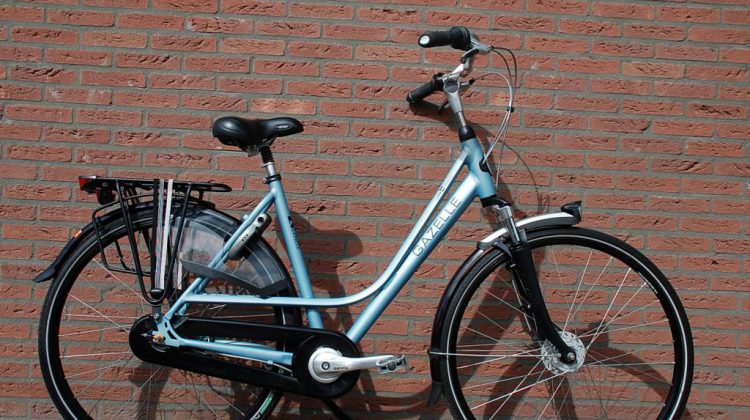 patroon zijn Gietvorm Damesfiets Paris Plus Gazelle – Grab Your Bike