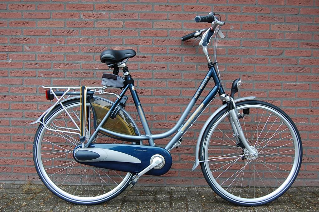 waarschijnlijk Startpunt distillatie Damesfiets Best Breaks Batavus – Grab Your Bike