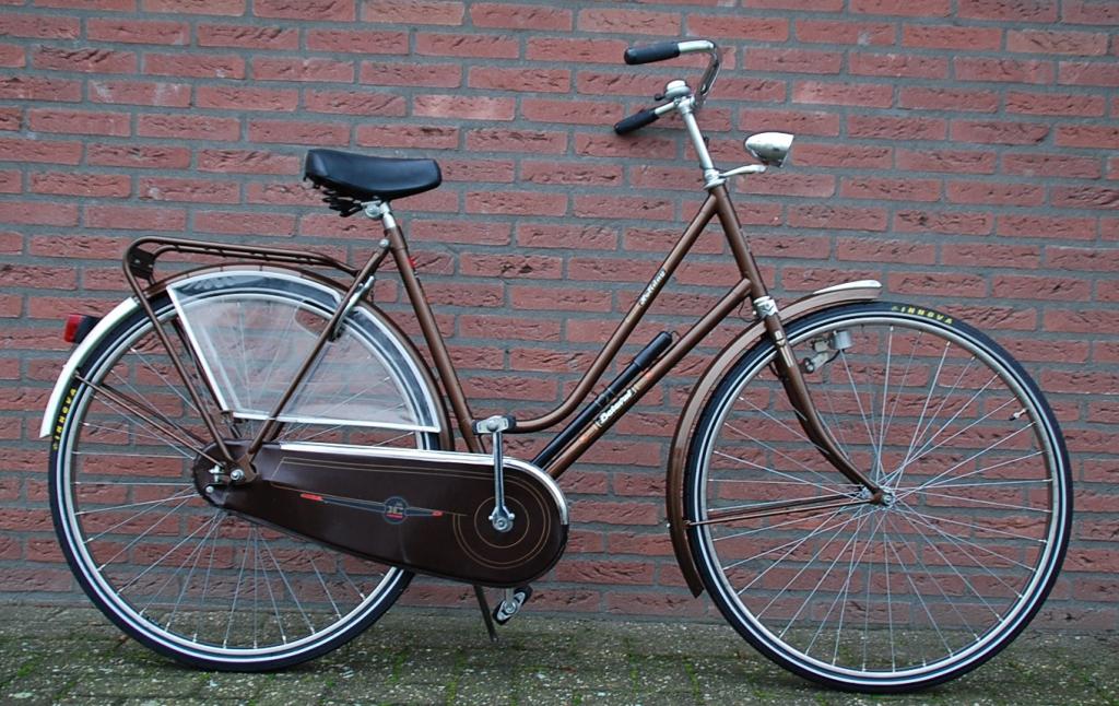 bedrag Pasen vaak Damesfiets Holidy (klassieker) Batavus – Grab Your Bike